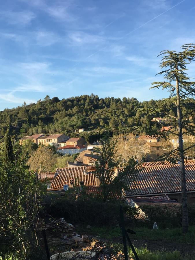 Chambres D Hotes Le Clos Des Vins D Anges Saint-Pierre-des-Champs Esterno foto