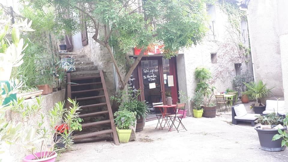 Chambres D Hotes Le Clos Des Vins D Anges Saint-Pierre-des-Champs Esterno foto